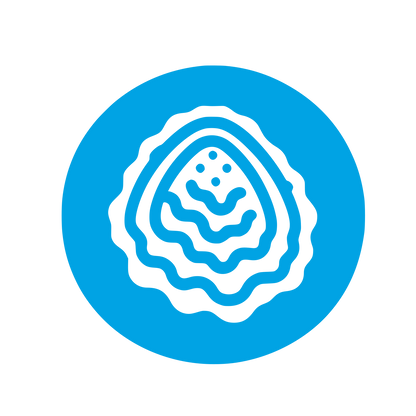 Food Logo Design #00a3e4