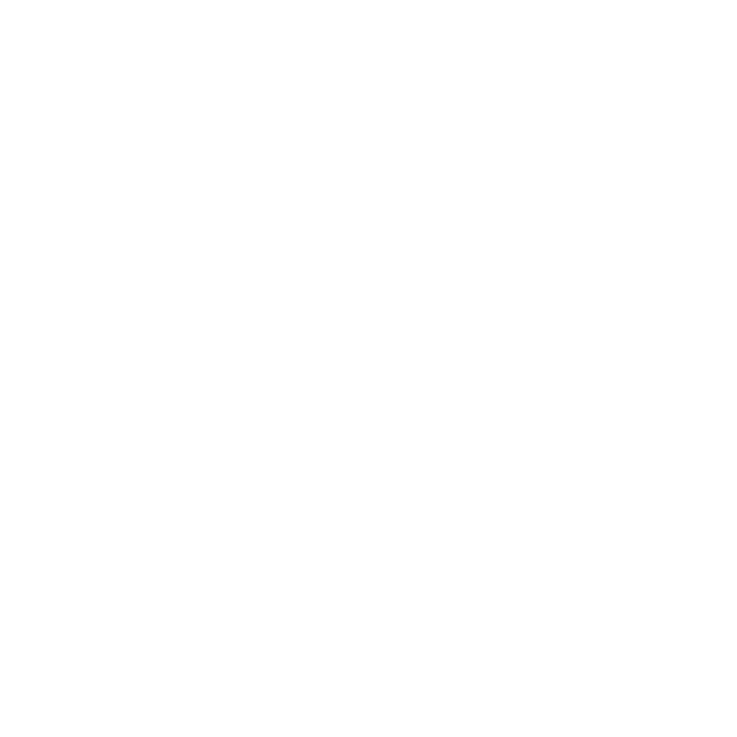 Phoenix Logo #ffffff