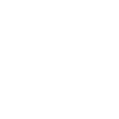 Phoenix Logo #ffffff