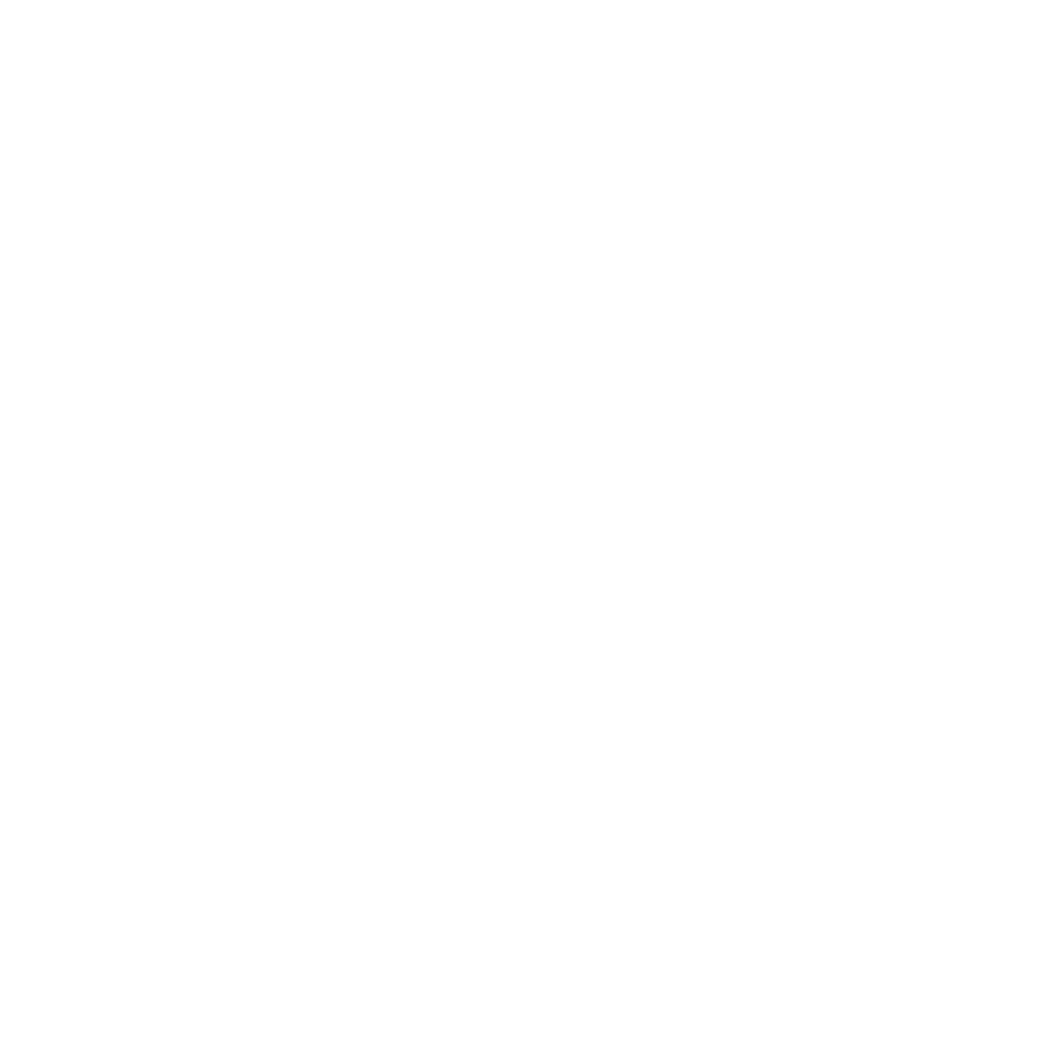 Bird Logo Design #ffffff
