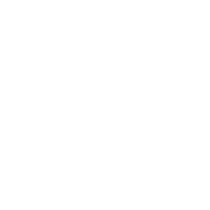 Bird Logo Design #ffffff