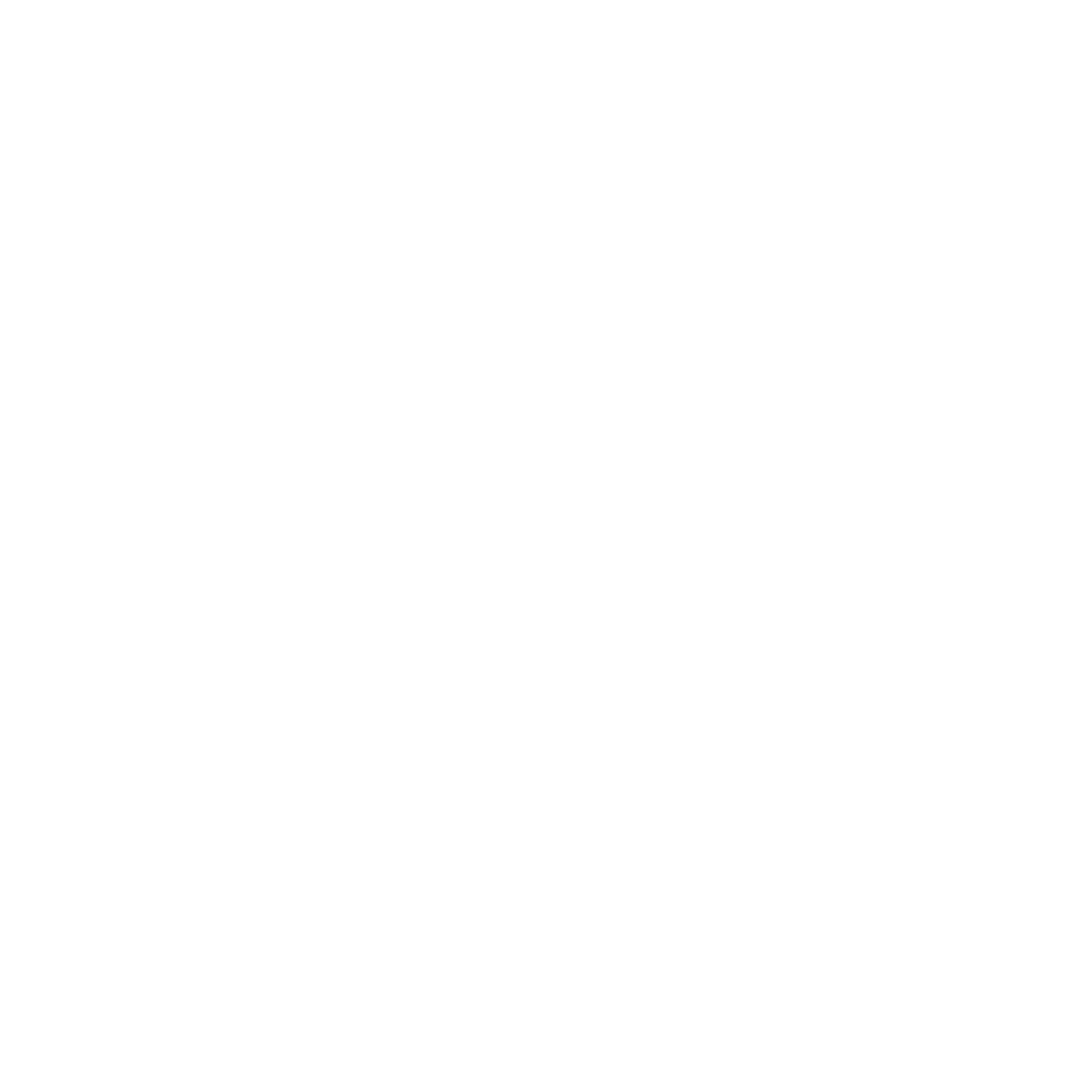 Bird Logo Design #ffffff