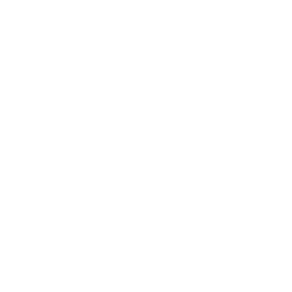 Bird Logo Design #ffffff