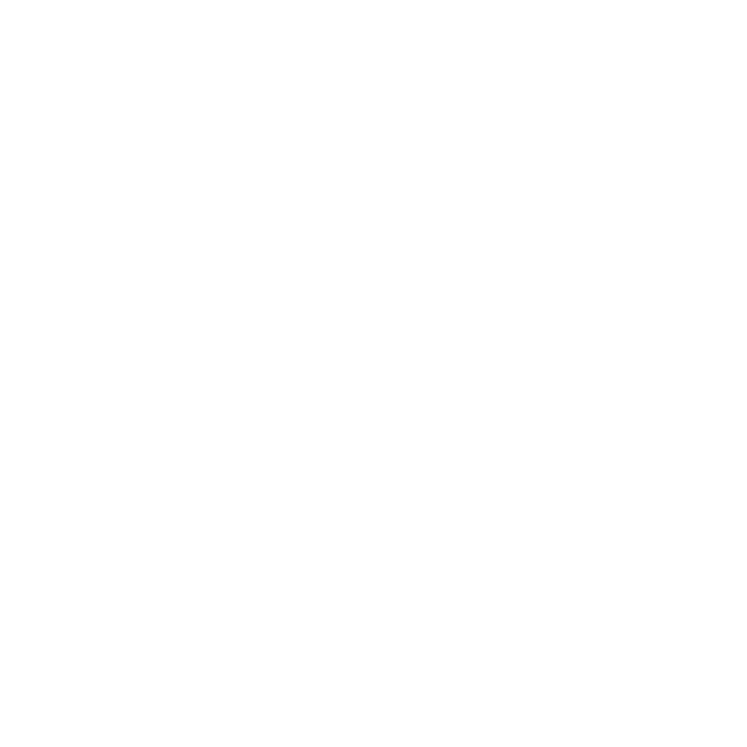 Bird Logo Design #ffffff