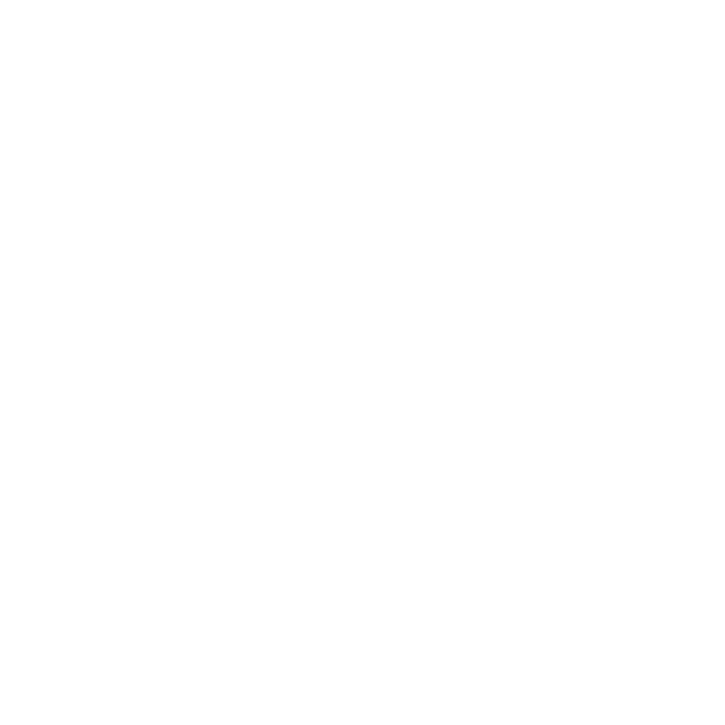 Bold Bird Logo #ffffff