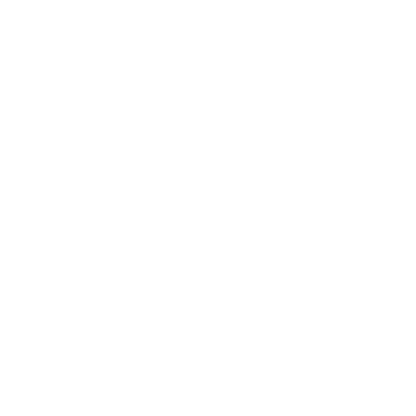 Bold Bird Logo #ffffff