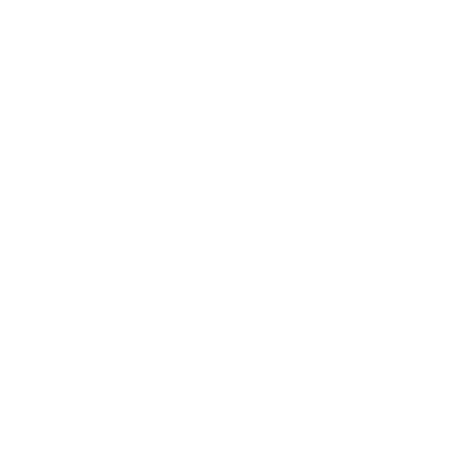 Bird Logo Design #ffffff