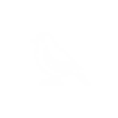 Bird Logo Design #ffffff
