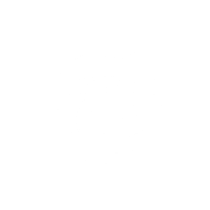 Bold Fox Logo #ffffff