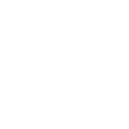 Fox Wave Logo #ffffff