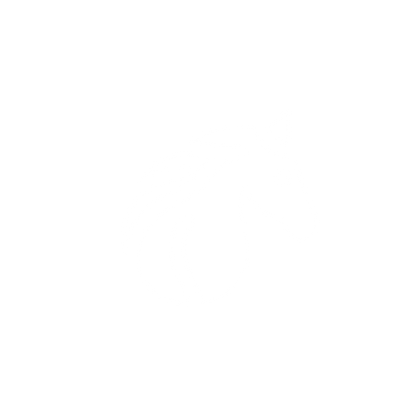 Horse Logo Design #ffffff