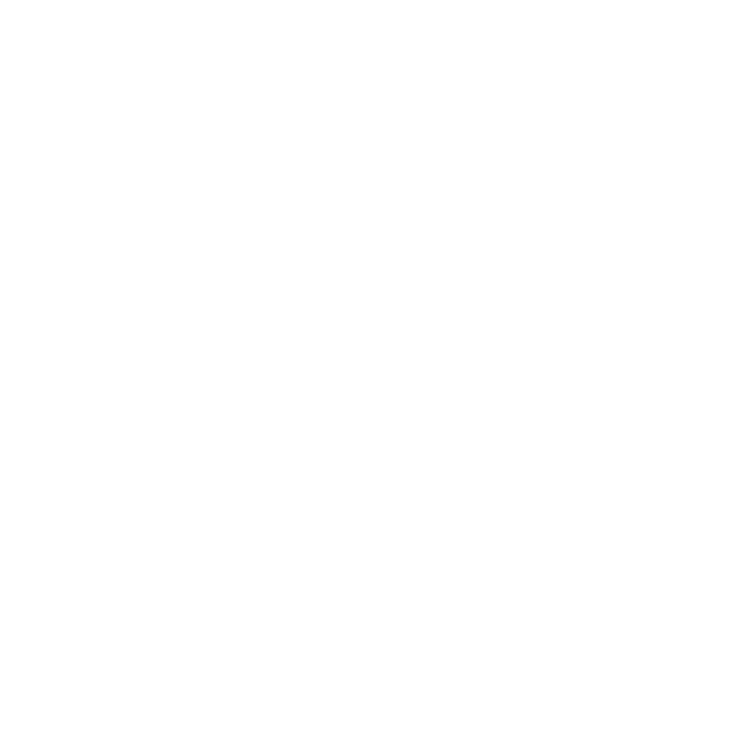 Bold Bison Logo #ffffff