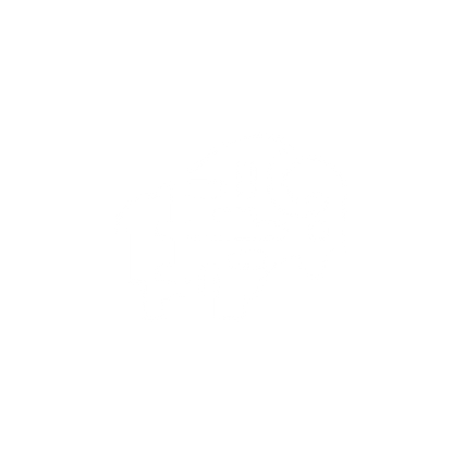 Bold Bison Logo #ffffff
