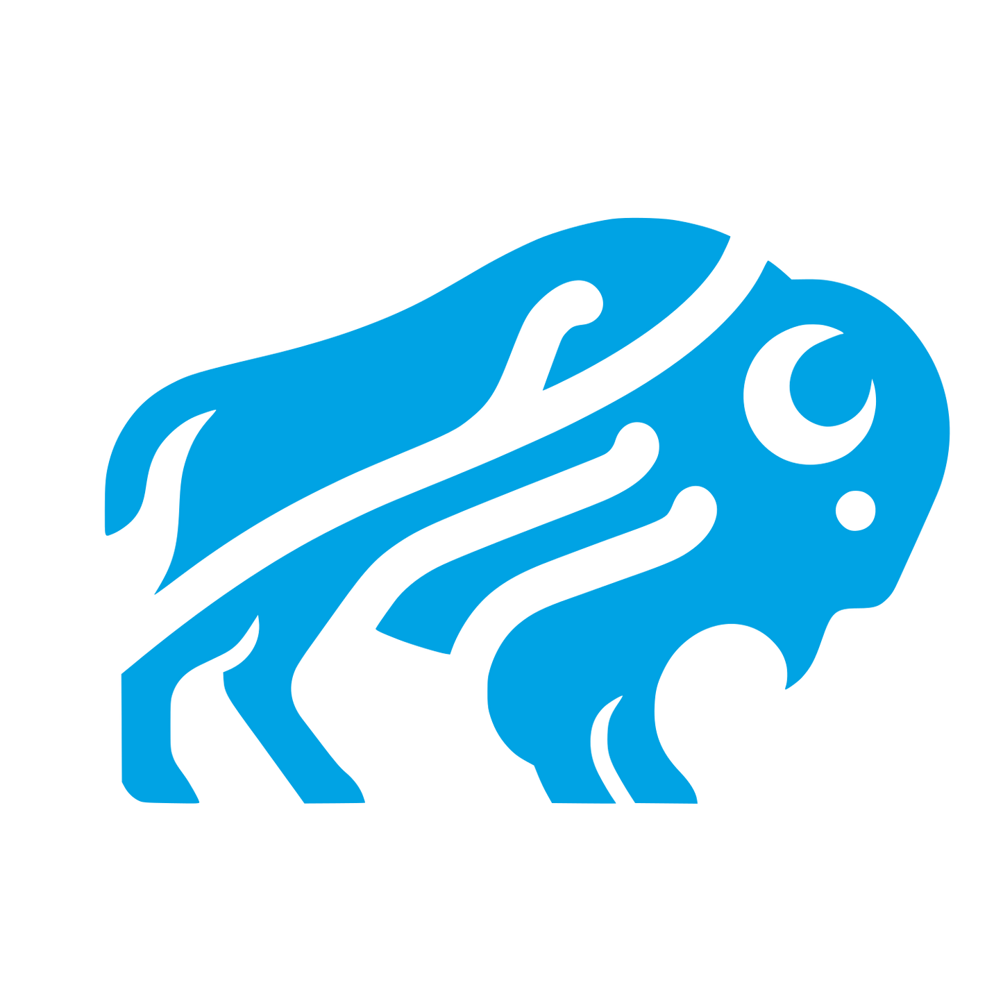 Bison Logo Design #00a3e4