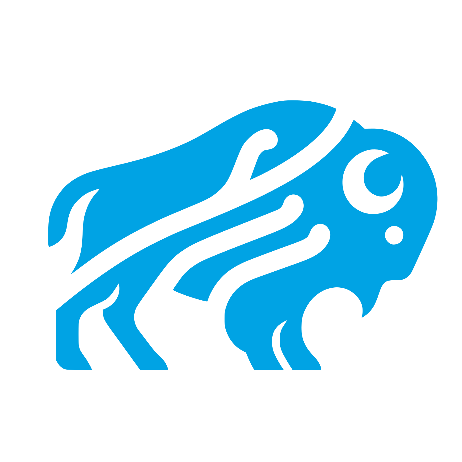 Bison Logo Design #00a3e4
