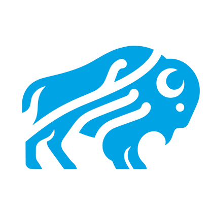Bison Logo Design #00a3e4