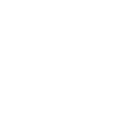 Bison Logo Design #ffffff