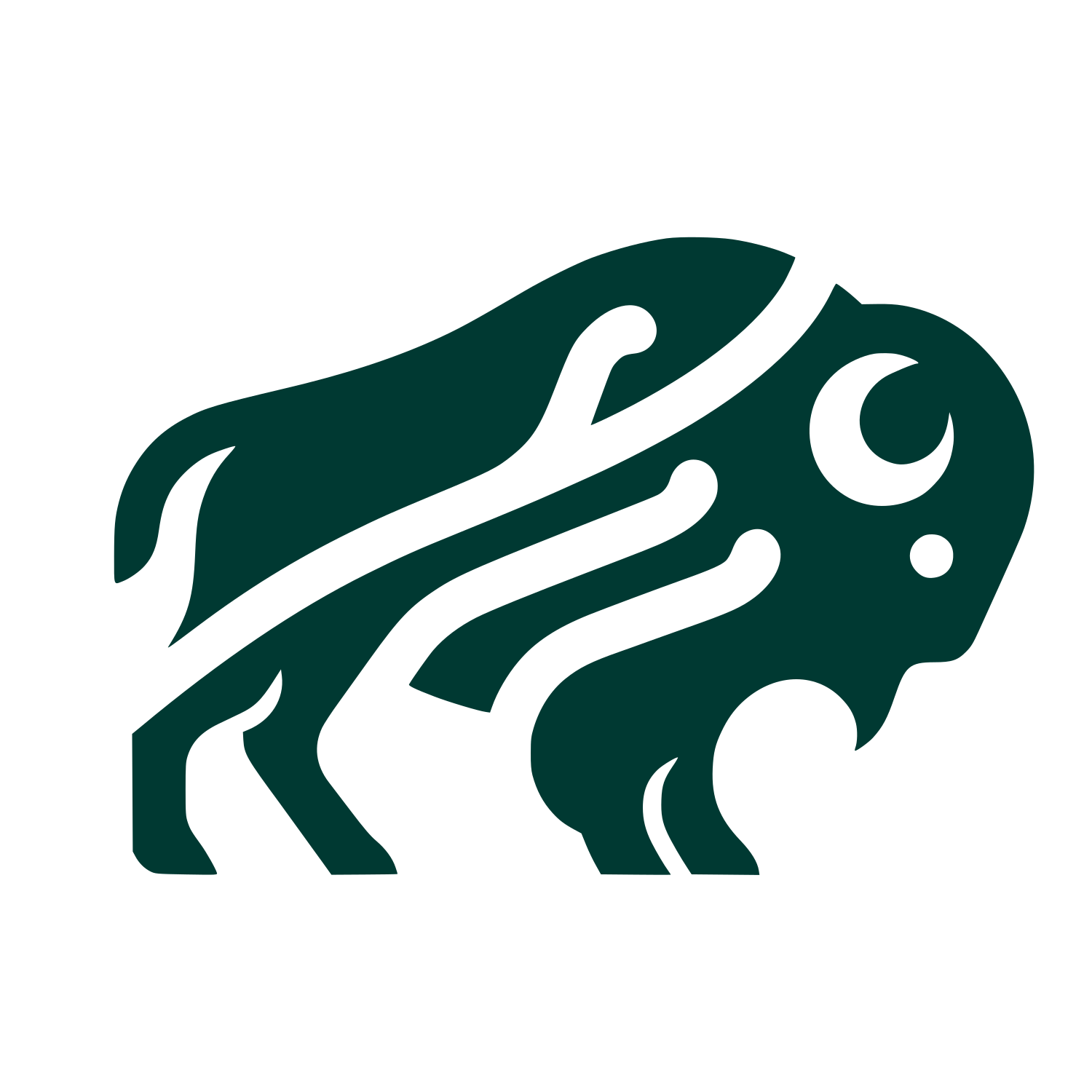 Bison Logo Design #003932