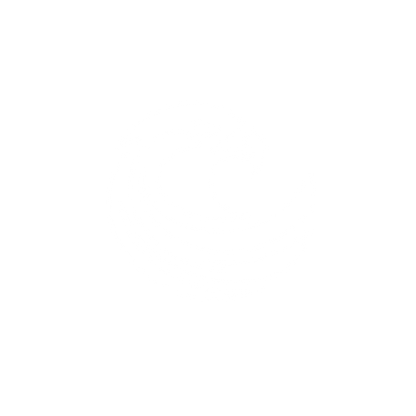 Eagle Logo Design #ffffff