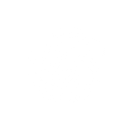 Bold Eagle Logo #ffffff