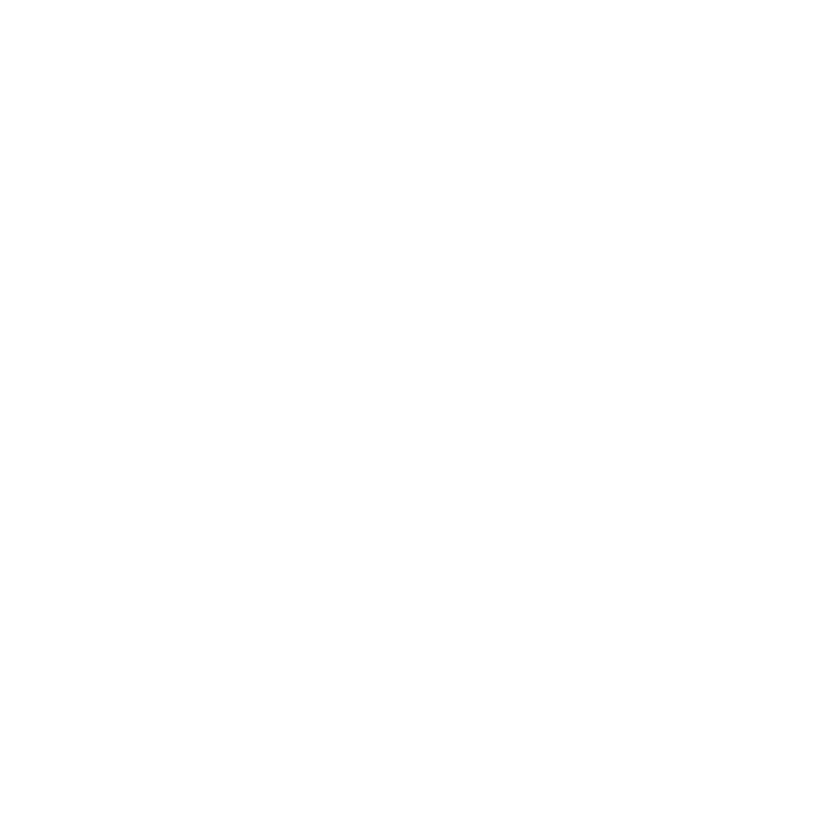 Eagle Logo Design #ffffff