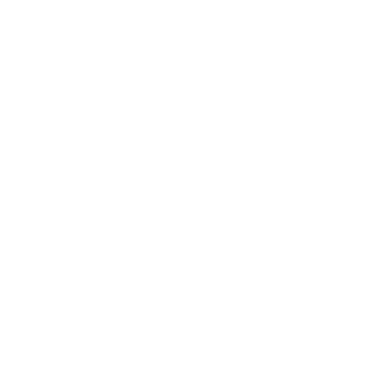 Pig Logo Design #ffffff