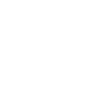 Pig Logo Design #ffffff