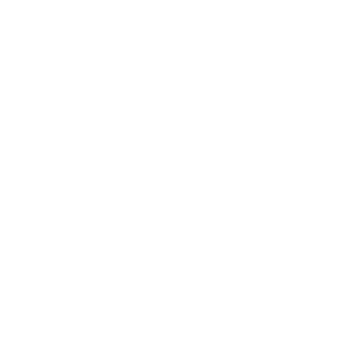 Zebra Logo Design #ffffff