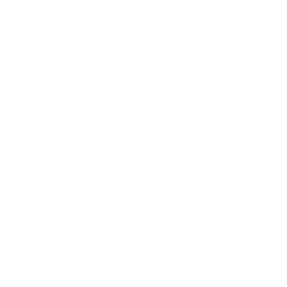 Zebra Logo Design #ffffff