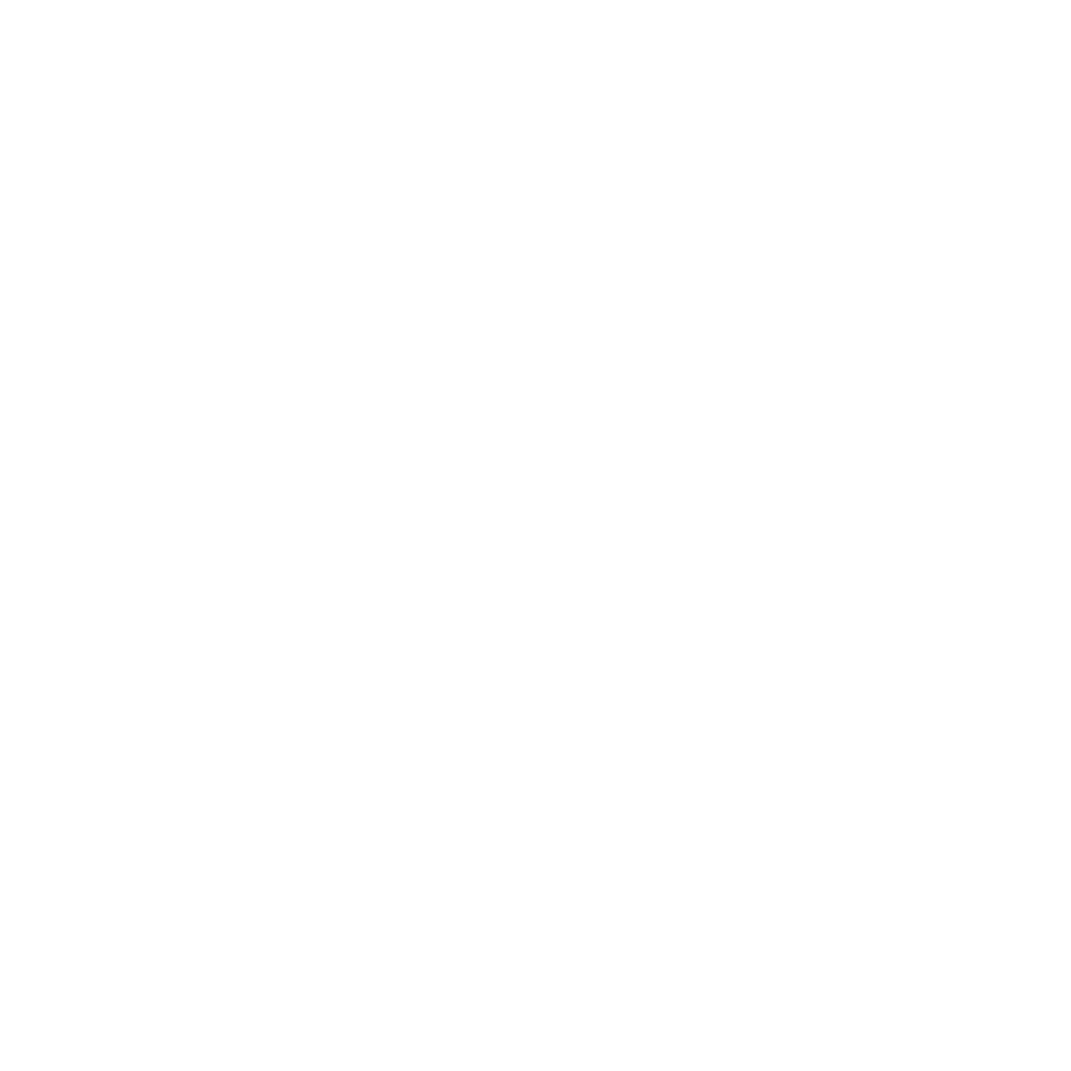 Zebra Logo Design #ffffff