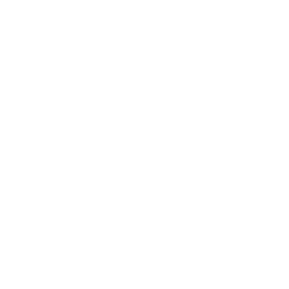 Zebra Logo Design #ffffff
