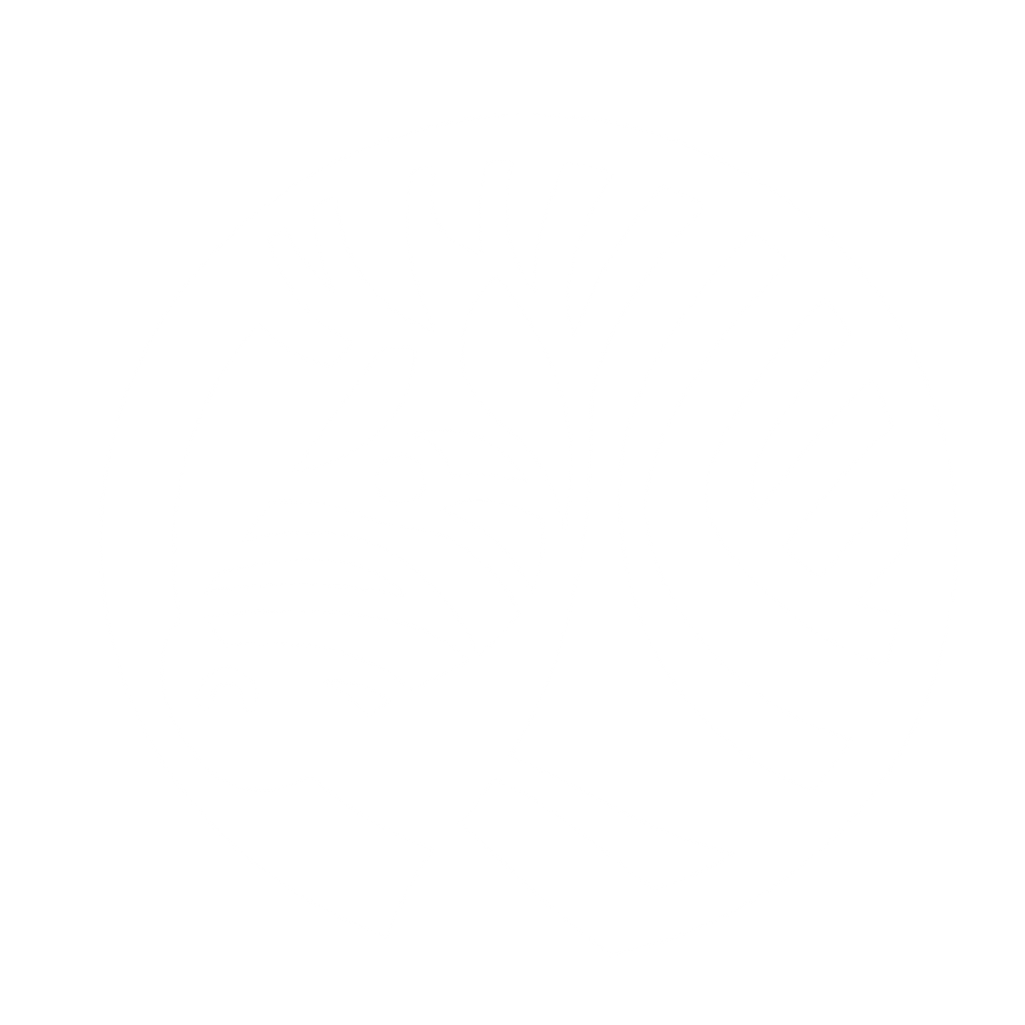 Zebra Logo Design #ffffff