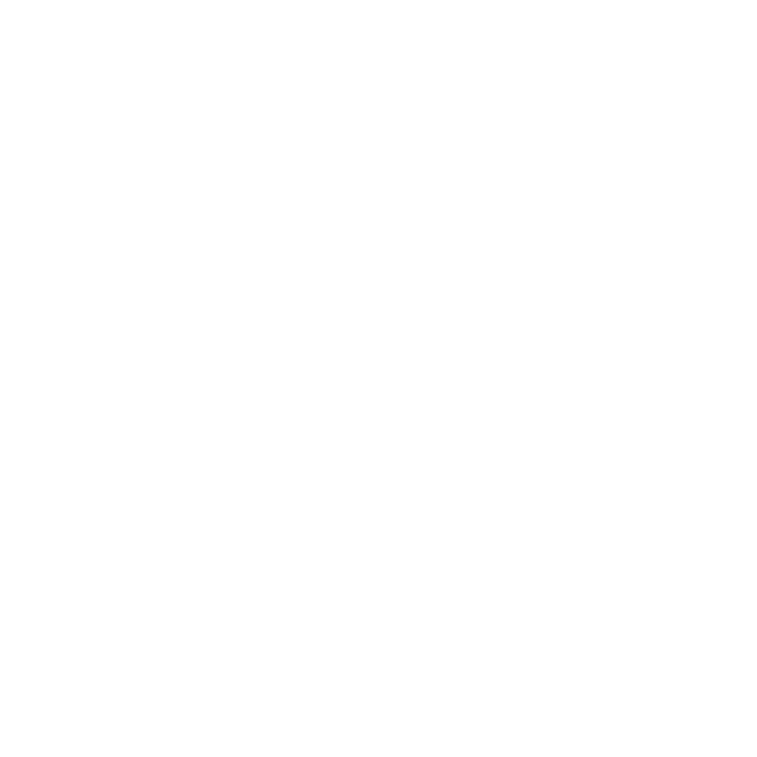 Zebra Logo Design #ffffff