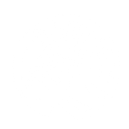 Zebra Logo Design #ffffff