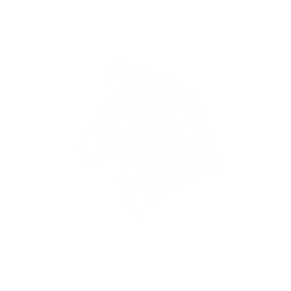 Zebra Head Logo #ffffff