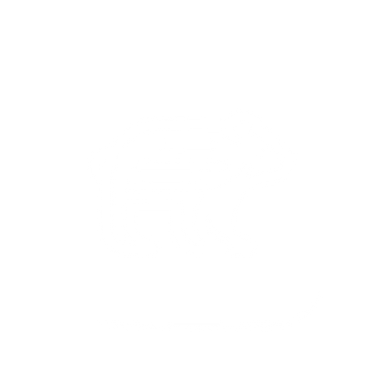 Bear Logo Design #ffffff