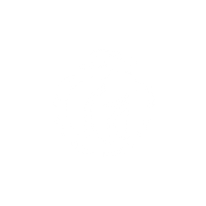 Bear Logo Design #ffffff