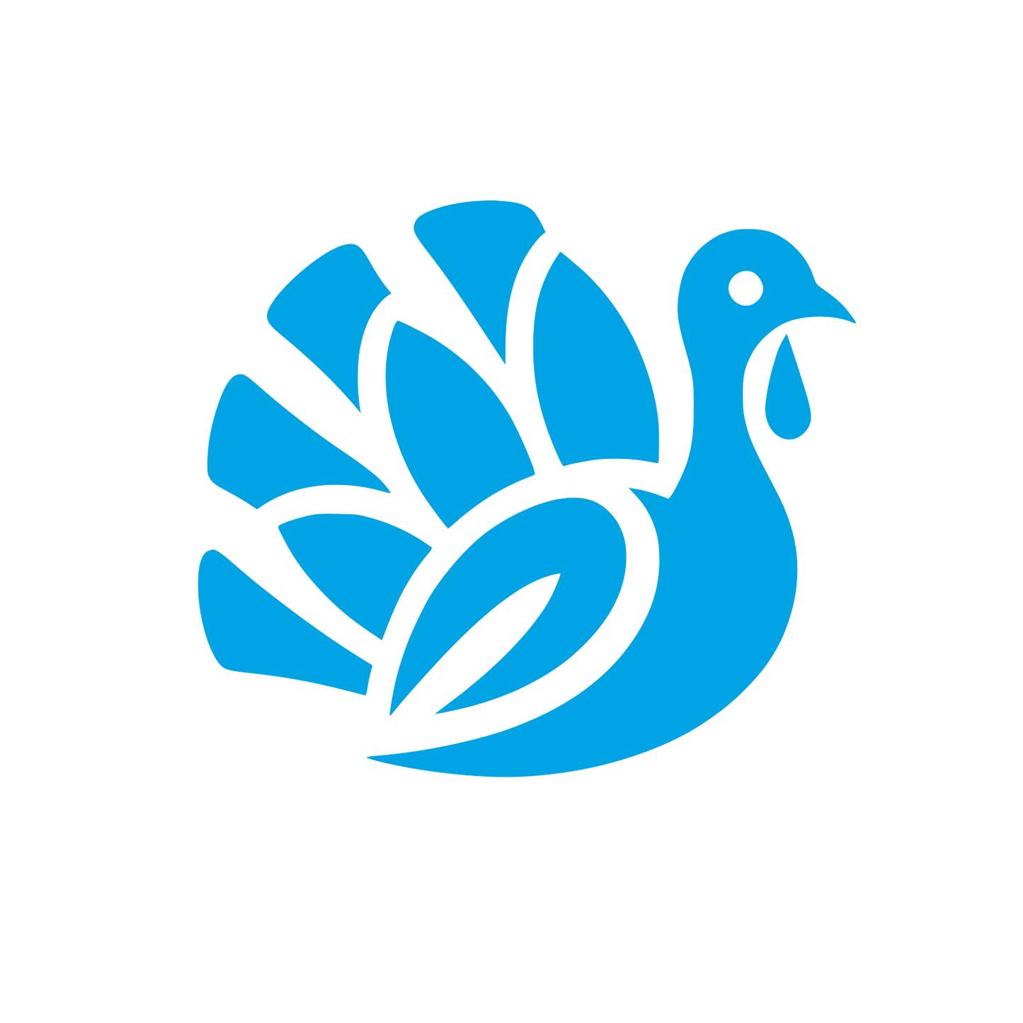 Turkey Logo Design #00a3e4
