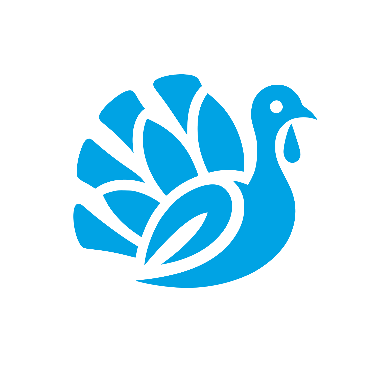 Turkey Logo Design #00a3e4