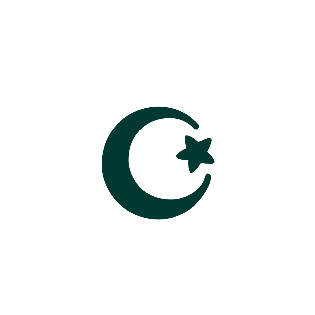 Crescent Star Logo #ffffff/#003932