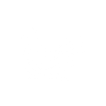 Bold Chicken Logo #ffffff