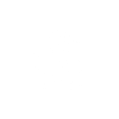 Duck Logo Design #ffffff