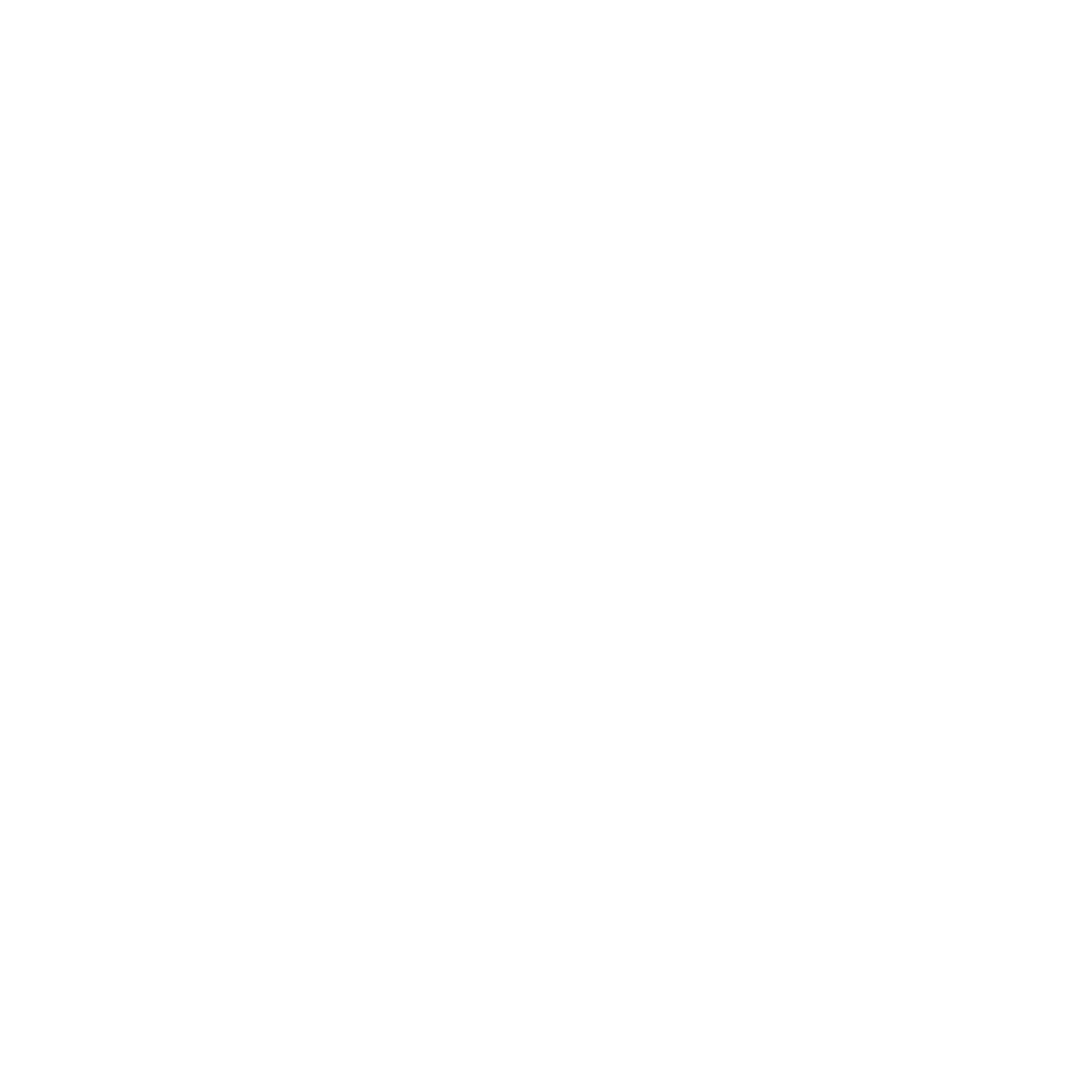 Duck Logo Design #ffffff