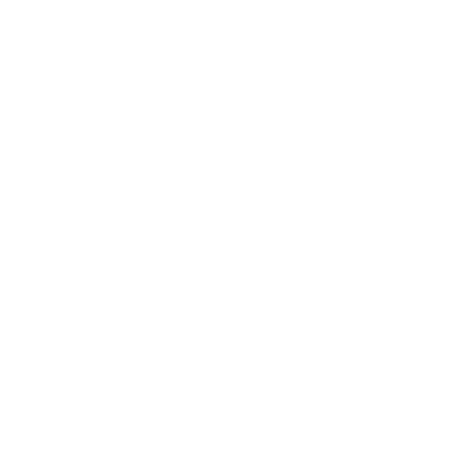 Duck Logo Design #ffffff