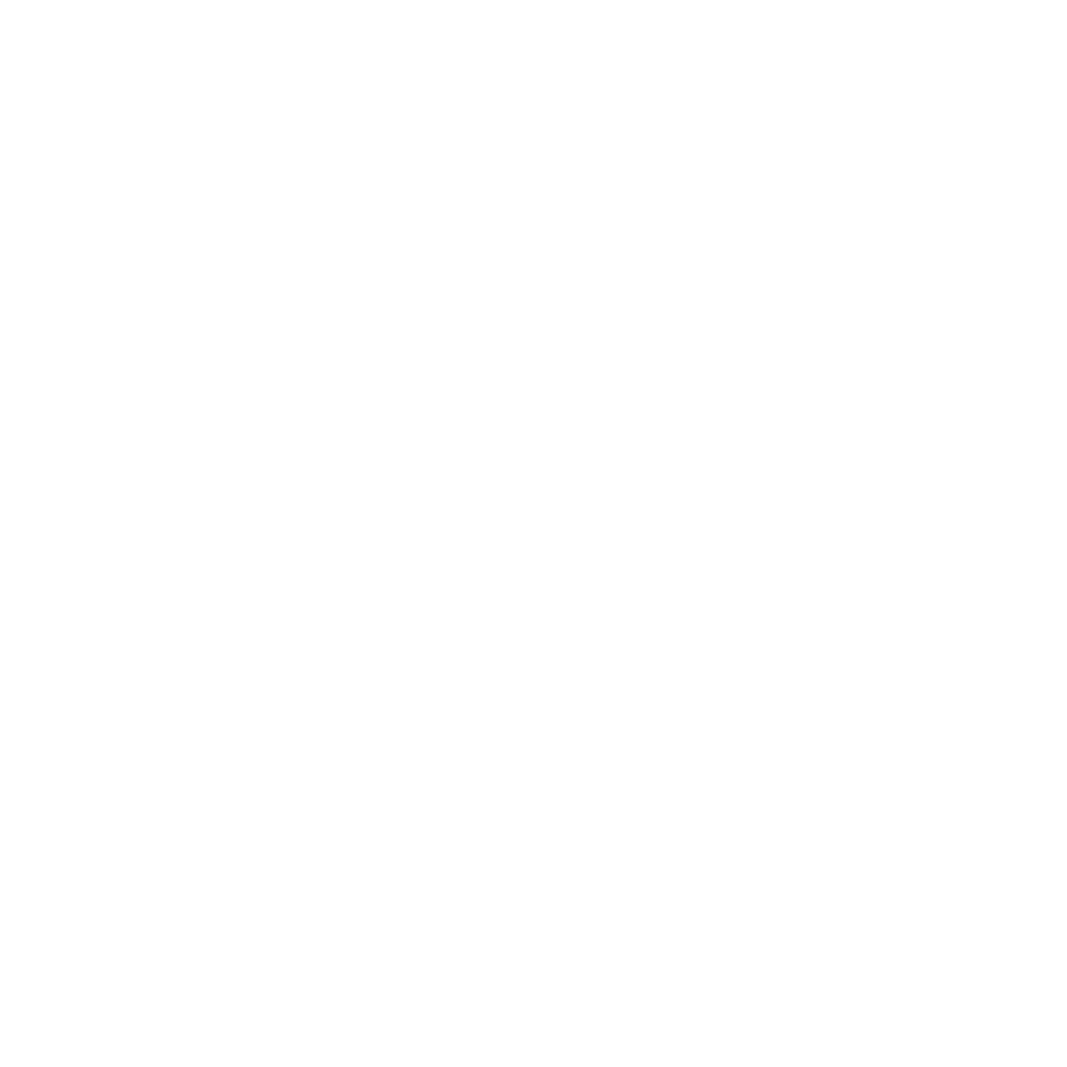 Zebra Logo Design #ffffff