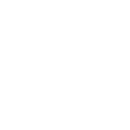 Zebra Logo Design #ffffff