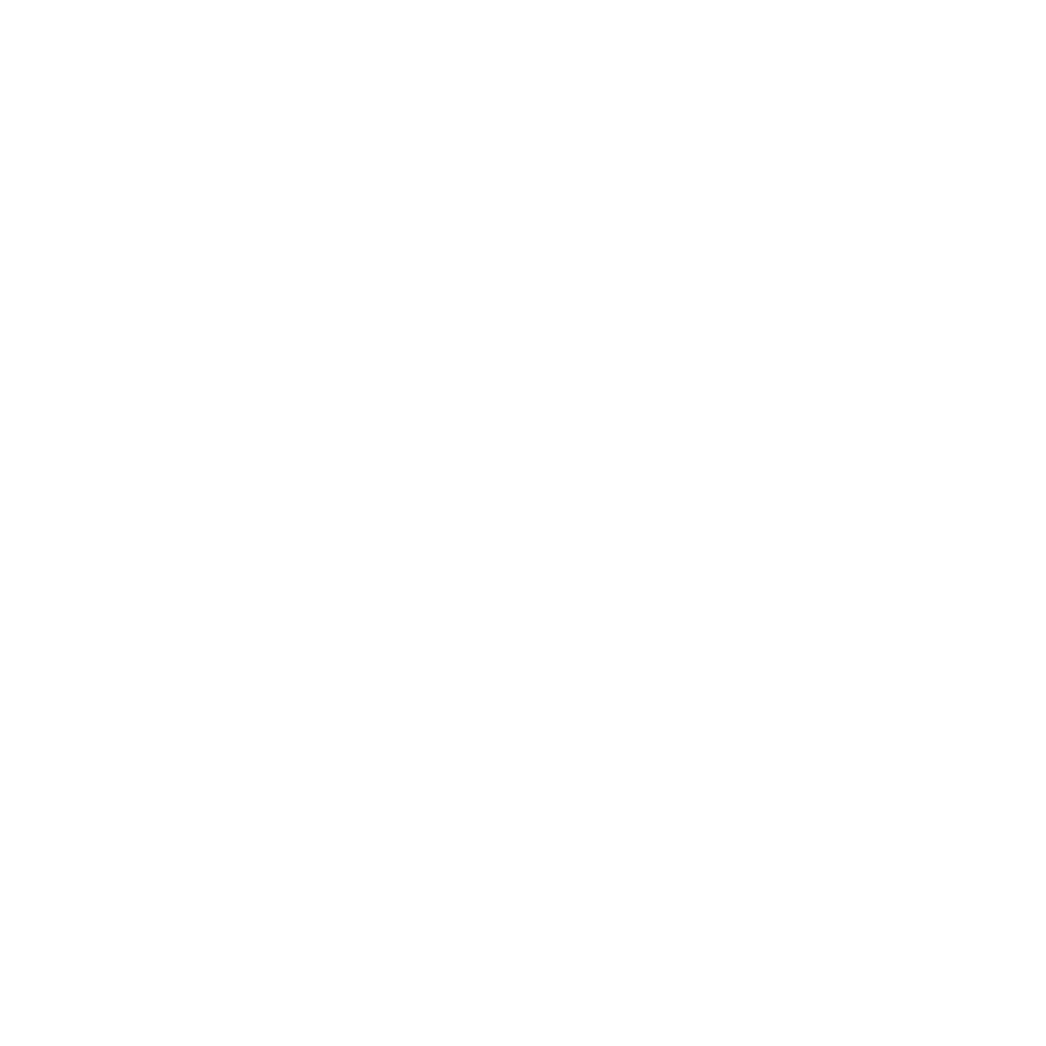 Zebra Animal Logo #ffffff