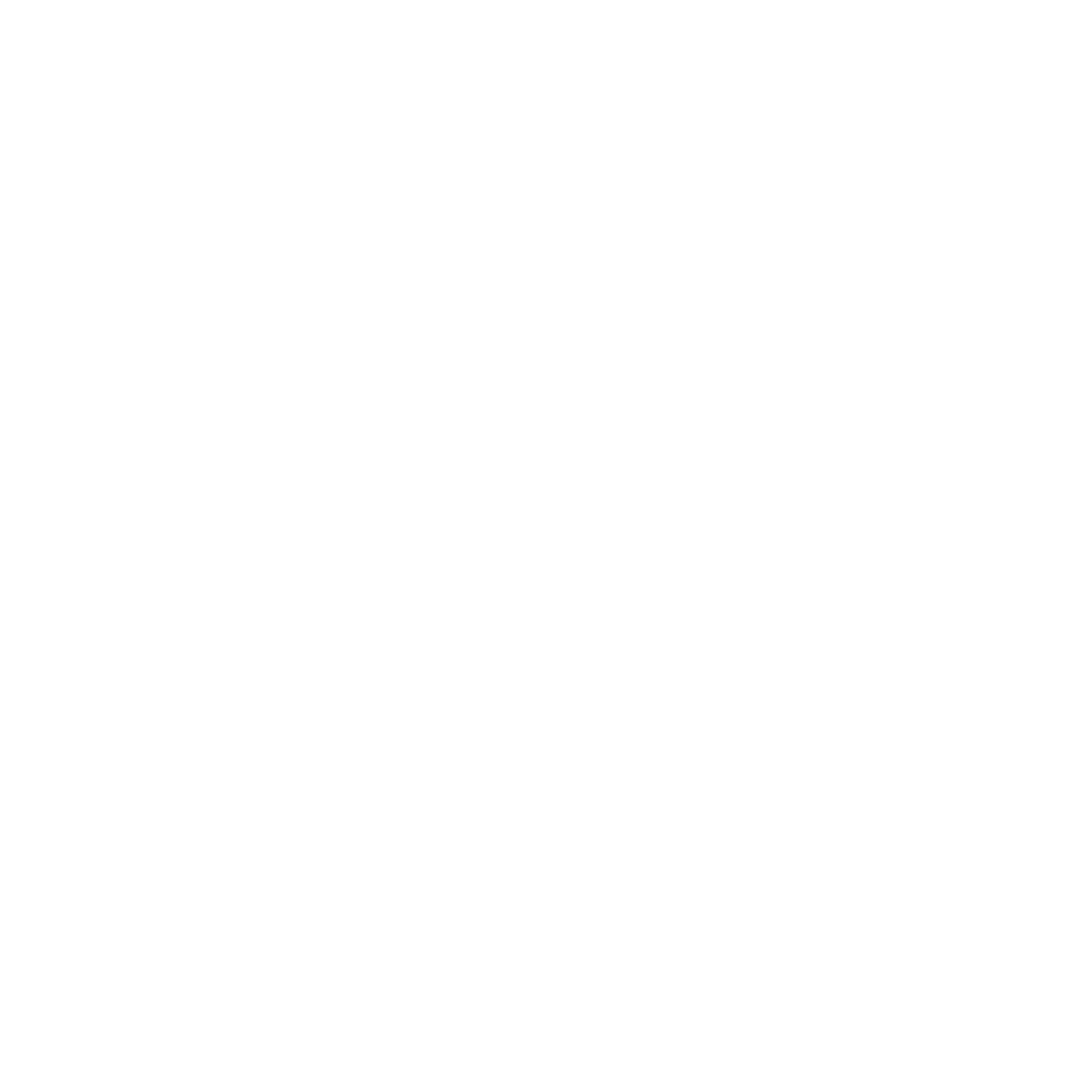 Zebra Logo Design #ffffff