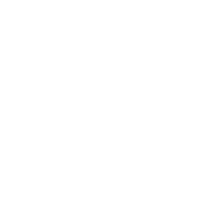 Zebra Logo Design #ffffff