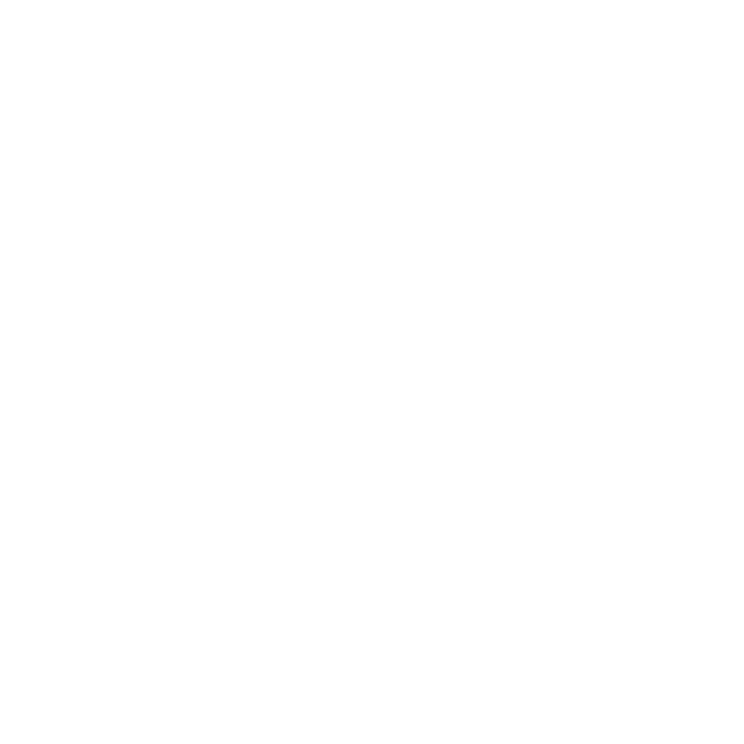 Zebra Logo Design #ffffff